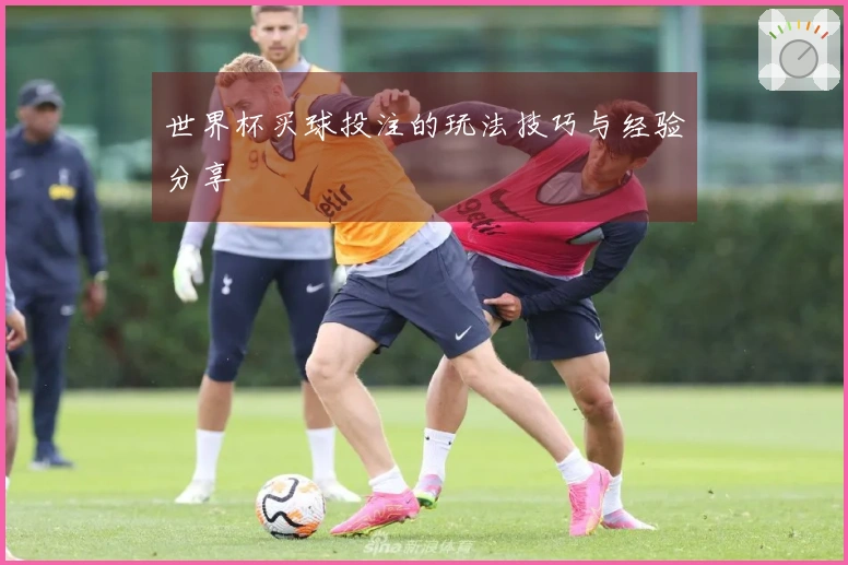 世界杯买球投注的玩法技巧与经验分享