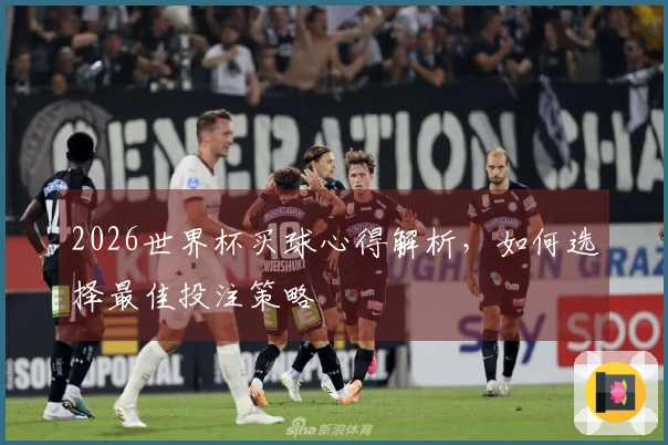 2026世界杯买球心得解析，如何选择最佳投注策略