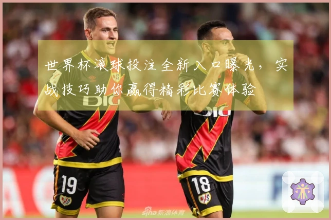 世界杯滚球投注全新入口曝光，实战技巧助你赢得精彩比赛体验