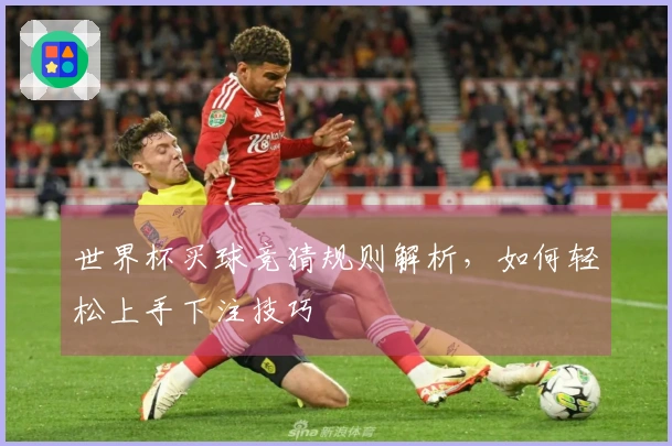 世界杯买球竞猜规则解析，如何轻松上手下注技巧