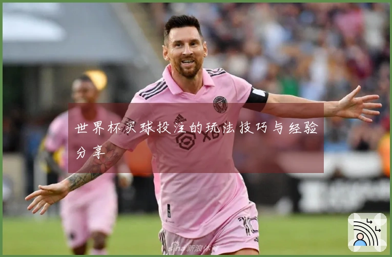 世界杯买球投注的玩法技巧与经验分享