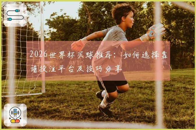 2026世界杯买球推荐：如何选择靠谱投注平台及技巧分享