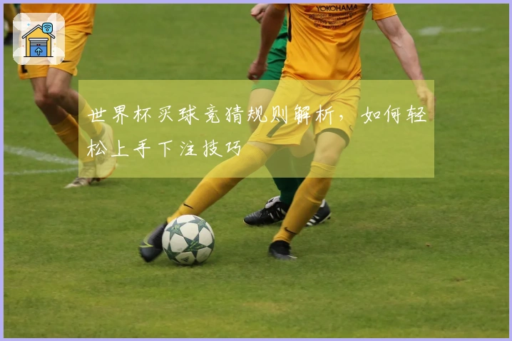世界杯买球竞猜规则解析，如何轻松上手下注技巧