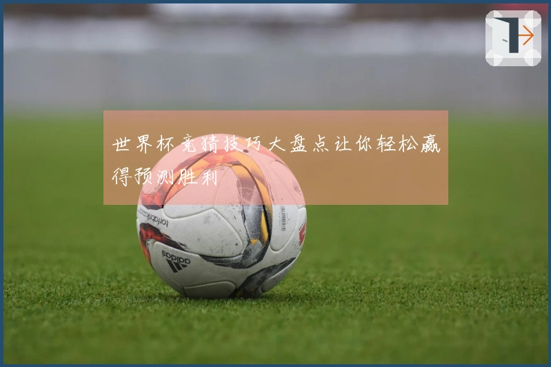 世界杯竞猜技巧大盘点让你轻松赢得预测胜利