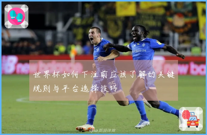世界杯如何下注前应该了解的关键规则与平台选择技巧