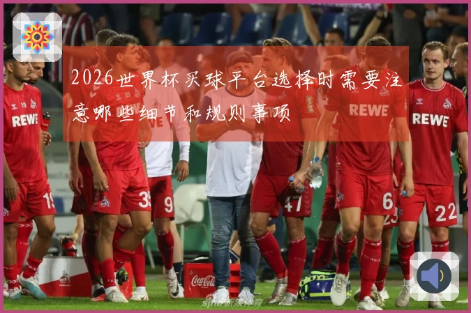2026世界杯买球平台选择时需要注意哪些细节和规则事项